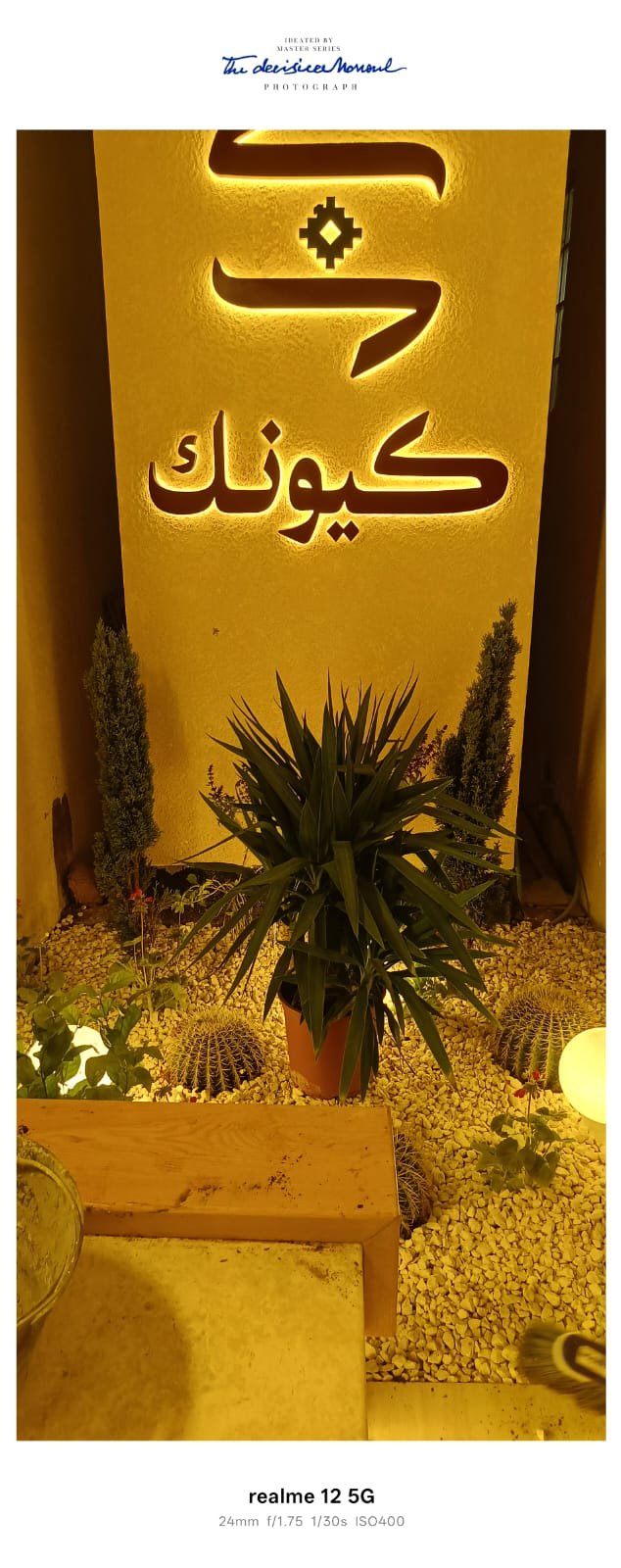 أشجار مثمرة