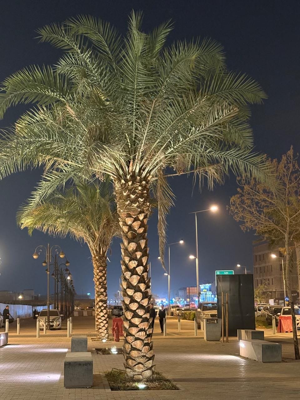 عشب طبيعي